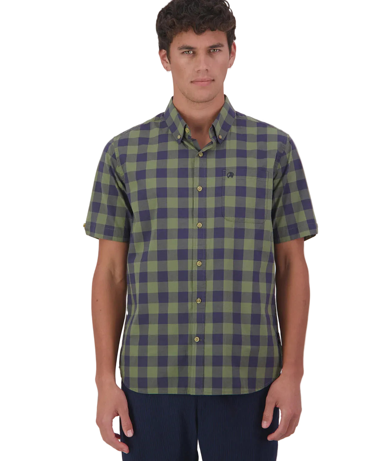 Man wearing a green and blue checkered shirt on a white background