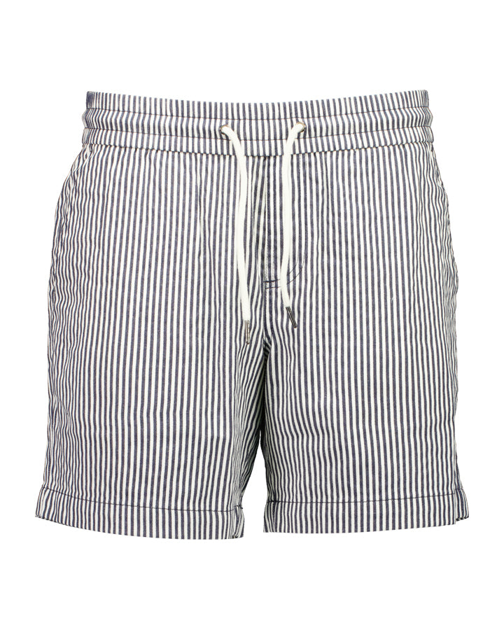 Men's Seaview Stripe Shorts